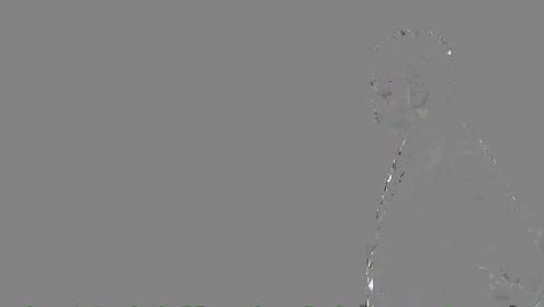 人教版高中思想政治必修一第四单元第10课 科学发展观和小康社会的经济建设
