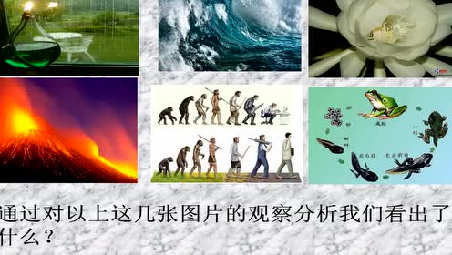 新教科版四年级科学上册