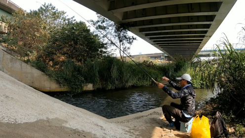 躲在大桥底下，解下钓瘾