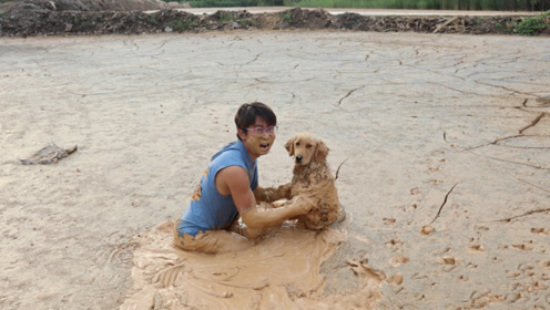 金毛发生了意外陷入了泥潭中,小伙赶紧过去营救,可把小伙气坏了