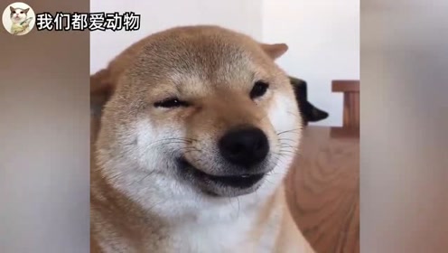 腾讯视频