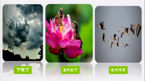 初中信息技术