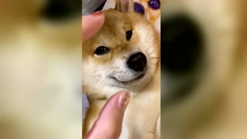 腾讯视频
