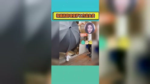 鞠胖 腾讯视频