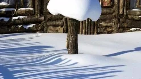 李本良演奏的二胡曲《篱笆墙的影子》