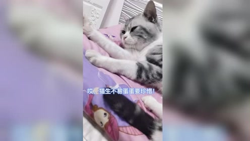 人生格言 腾讯视频