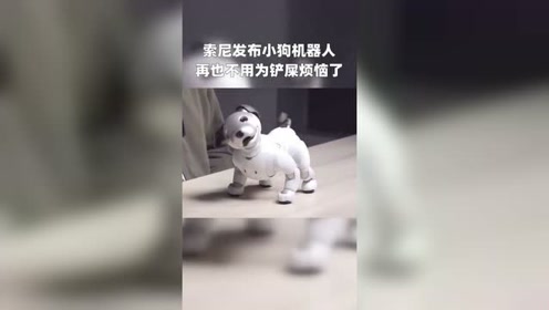 腾讯视频
