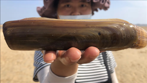 腾讯视频
