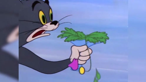 猫和老鼠:汤姆失恋后很颓废,靠着奶消愁,这也太真实了