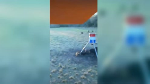 Up主高产似母猪 腾讯视频