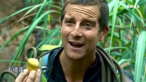荒野求生:贝爷第一次吃皮蛋,全程搞笑