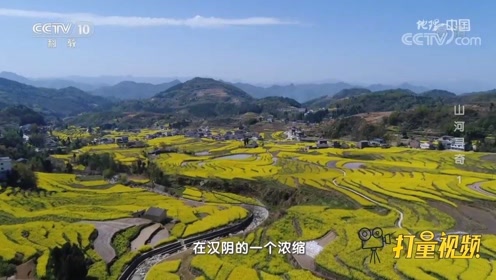 腾讯视频