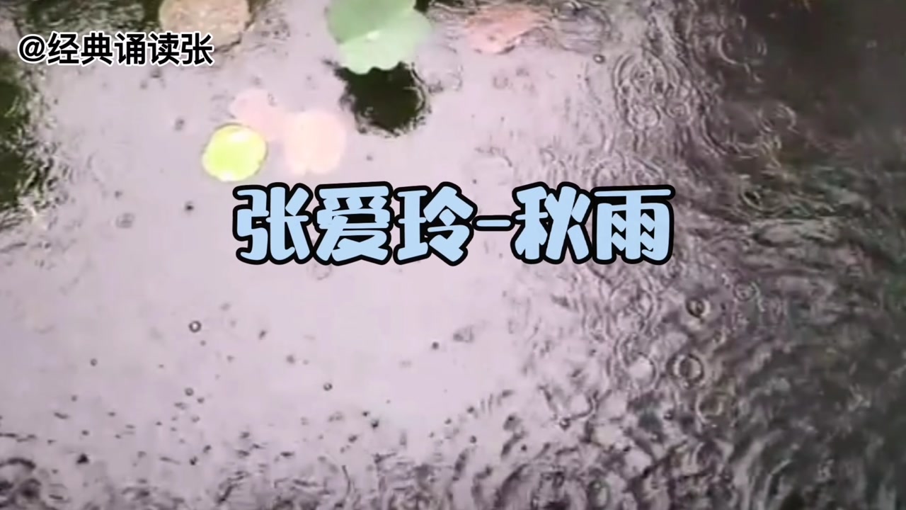 经典诵读《秋雨》:优美散文,细腻的笔风,把秋雨描写的栩栩如生