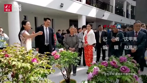 中国牡丹之都 腾讯视频