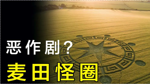 麦田怪圈 腾讯视频