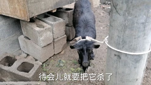 腾讯视频