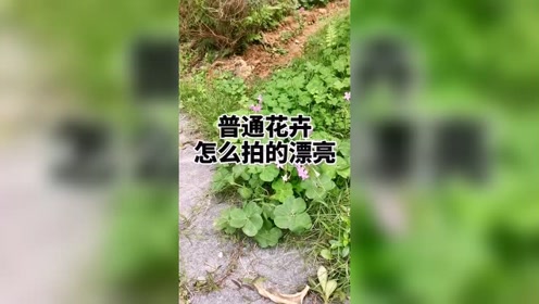 腾讯视频