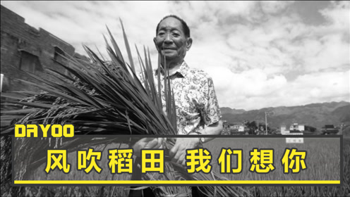 广州夜空震撼一幕 500架无人机致敬 袁隆平画像与皓月辉映 腾讯om视频 腾讯网