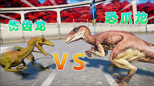 腾讯视频