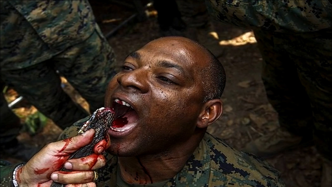全世界最残忍的军事训练之一 美军通过饮眼镜蛇血食毒虫训练士兵