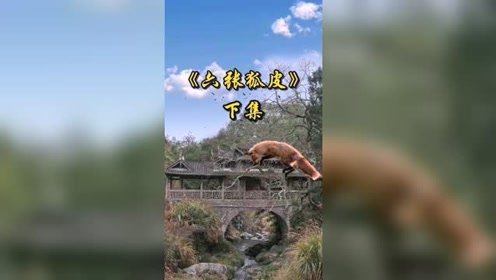 腾讯视频