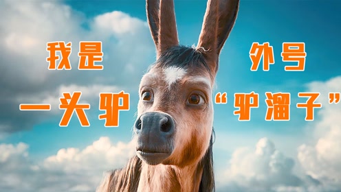 男人意外获得神奇小驴,经历各种冒险,最终抱得美人归#电影hot短