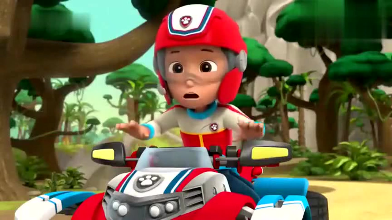 汪汪队立大功-莱德和汪汪队预备就绪,我们目前能够救猴子市长了