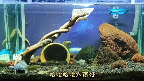 腾讯视频