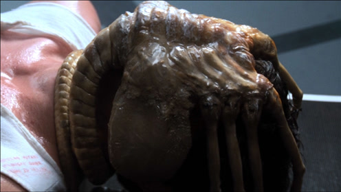 异形被誉为科幻恐怖片的开山鼻祖,抱脸虫曾是无数人的童年噩梦