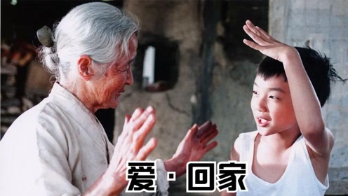 1高分《爱·回家》,每一个镜头都是泪点,催泪弹!