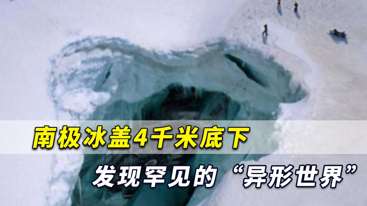 南极冰盖4千米底下,发现罕见的"异星世界,遍地奇特生物
