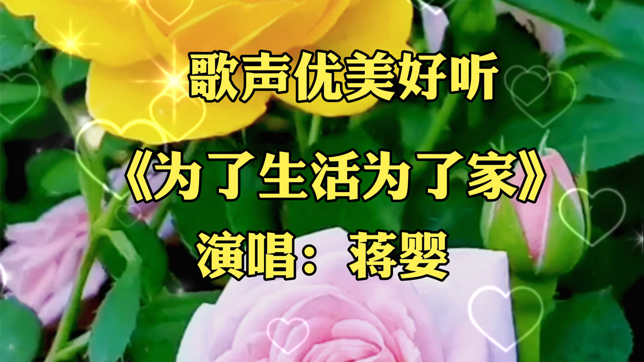 蒋婴的一首《为了生活为了家》优美动听的歌声太好听了,唱出了打工的