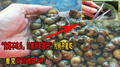 "黄鳝不吃头,田螺别吃尾巴"为何不能吃,看完你还敢吃吗?