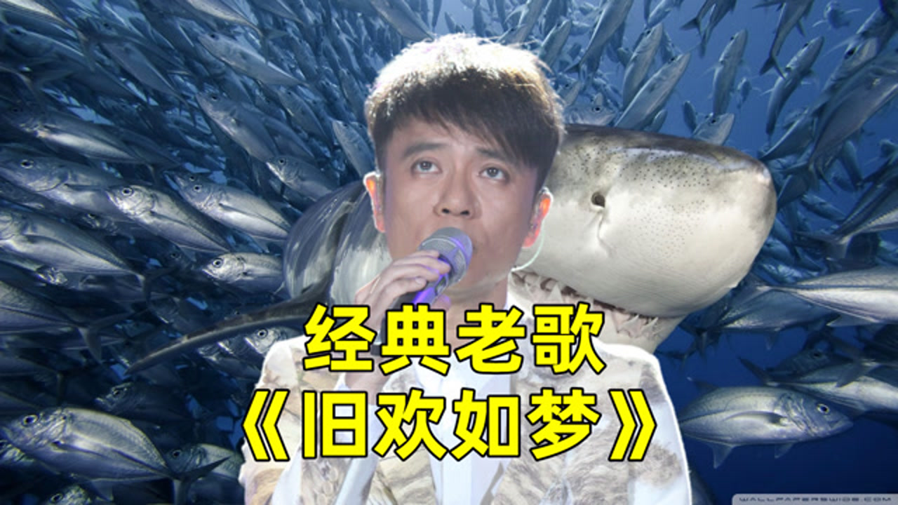 李克勤怀旧老歌《旧欢如梦》,歌声优美,醉人心扉,好听至极