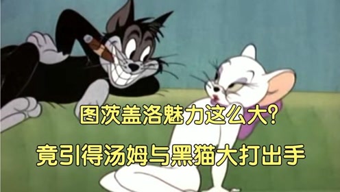 《猫和老鼠》图茨盖洛魅力这么大?竟引得汤姆与黑猫大打出手.