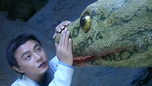 小伙与巨蛇对话解开蛇毒时 间:2021-11-22上传者:小鹅剧精彩电视剧