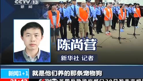山东招远案 腾讯视频