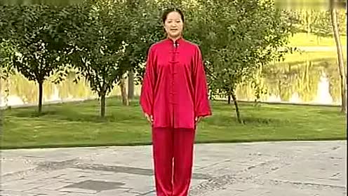 吴阿敏杨式40式太极拳1-5式分解教学