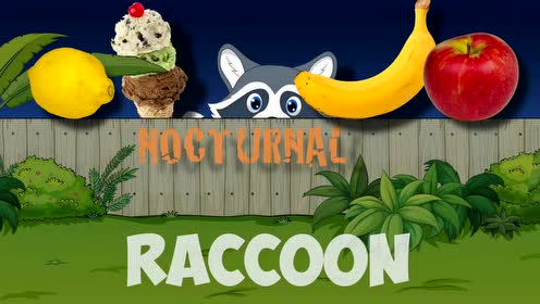 nocturnal animal song