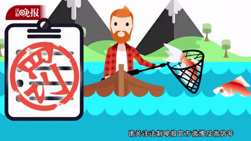 放养金鱼 腾讯视频