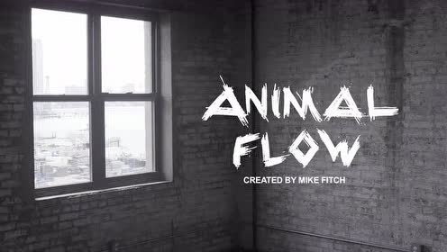 animal flow