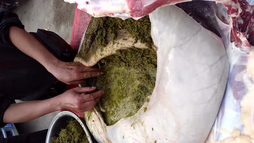 侗族第一特色美食牛瘪,看了你还敢吃吗?