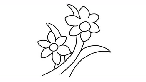 植物亲子简笔画之漂亮的兰花草 宝宝快乐轻松学画画