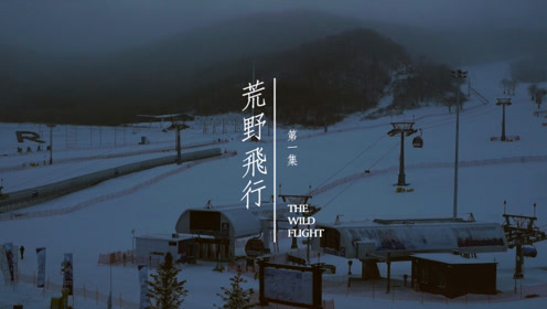 雪国的秘密 腾讯视频