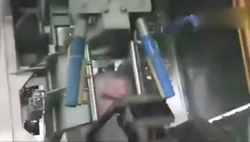 全自动化杀猪