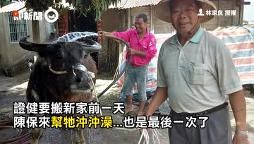 老人将宝贝老牛转手给别人照顾，老牛走的时候泪流满面