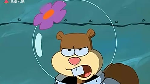 海绵宝宝:小松鼠看起来很不服输的样子,这是怎么了