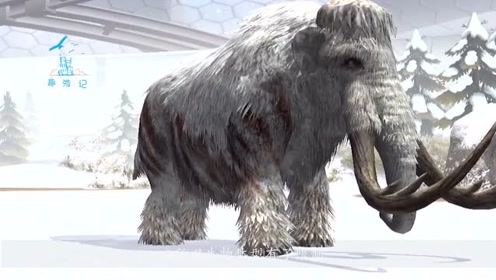 古代生物 腾讯视频