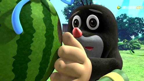 《熊猫和小鼹鼠》西瓜禾禾最帅的花纹?真的变了吗?