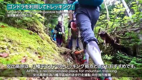 安比高原度假村 腾讯视频